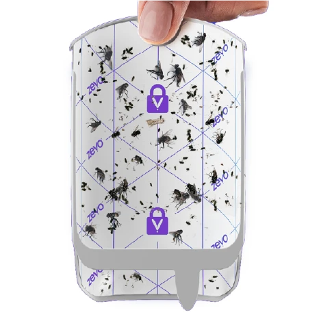 Zevo Flying Insect Trap Refill full of bugs