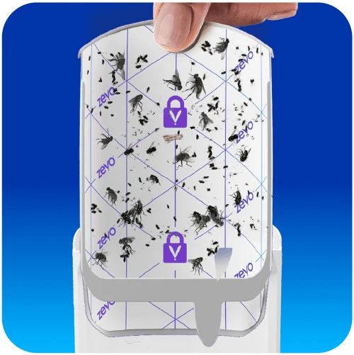 Zevo Flying Insect Trap Refill full of bugs
