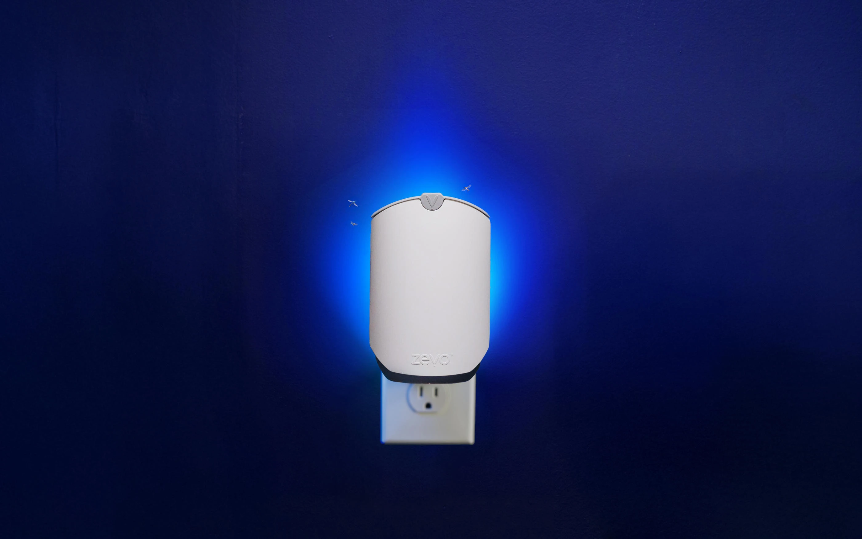 FRUIT FLY TRAPS: VINEGAR VS BLUE+UV LIGHT. WHAT WORKS?