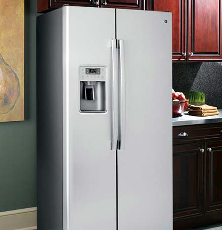 Free-Standing Refrigerator