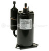 WJ98X10026-2496.jpg