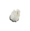 WD21X10272-3180.jpg