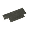 WD1X1469-9567.jpg WD1X1469-9567.jpg