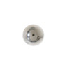 WE1X1152-2649.jpg