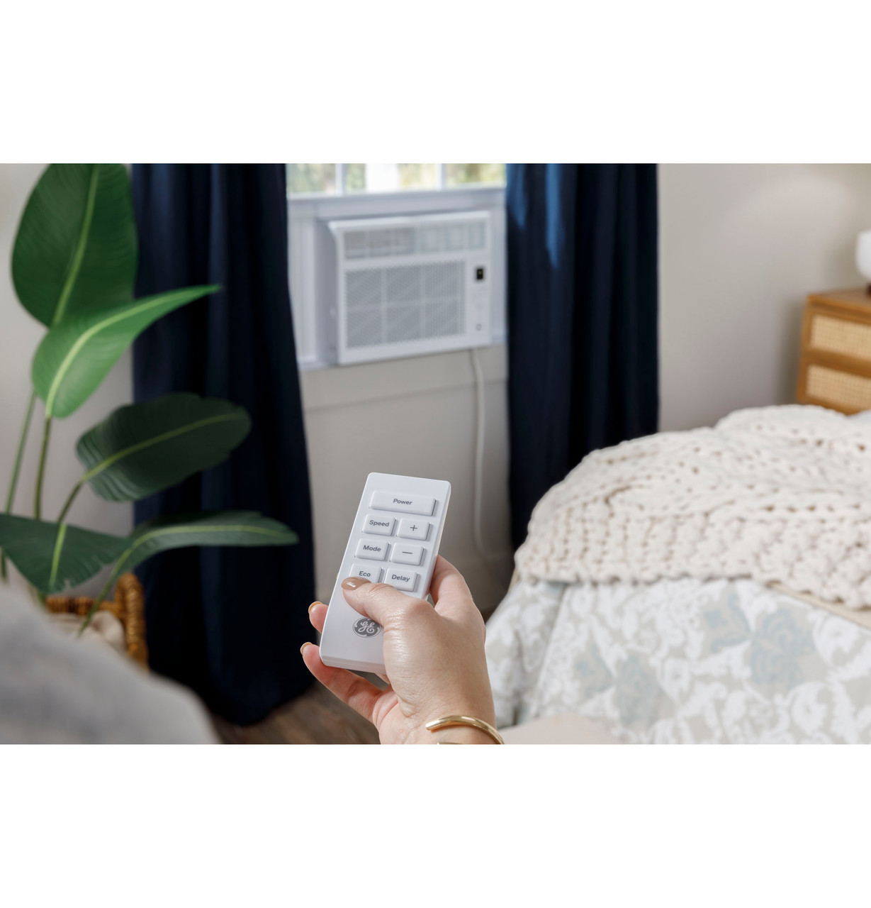 42261705.jpg 42261705.jpg