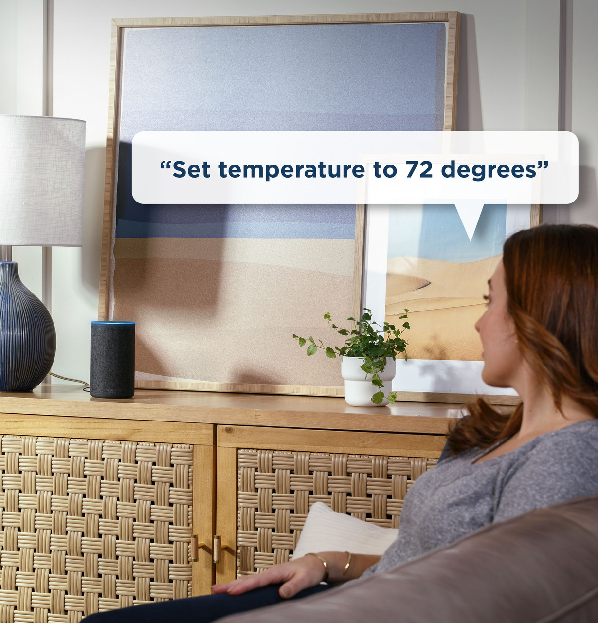 96345_Voice Control_42261722.jpg 96345_Voice Control_42261722.jpg