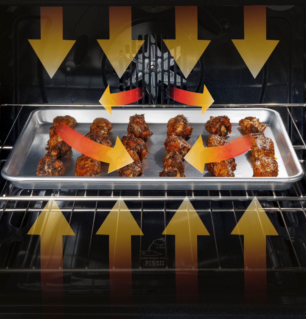 50042331.jpg 50042331.jpg