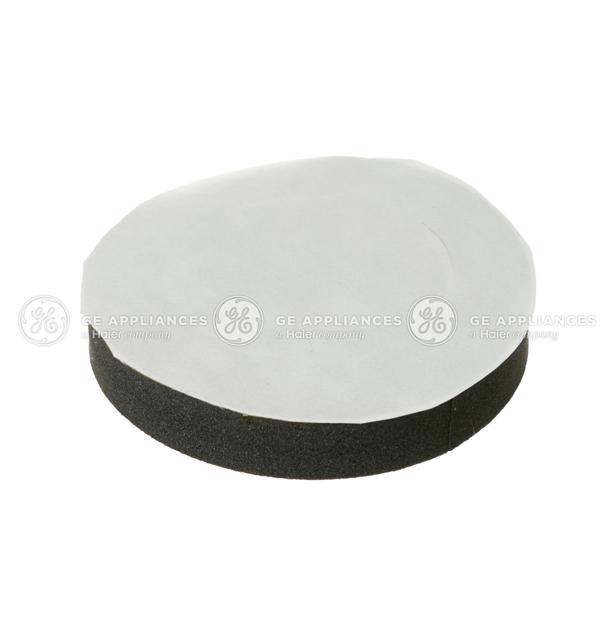 WE1M823-4695.jpg WE1M823-4695.jpg