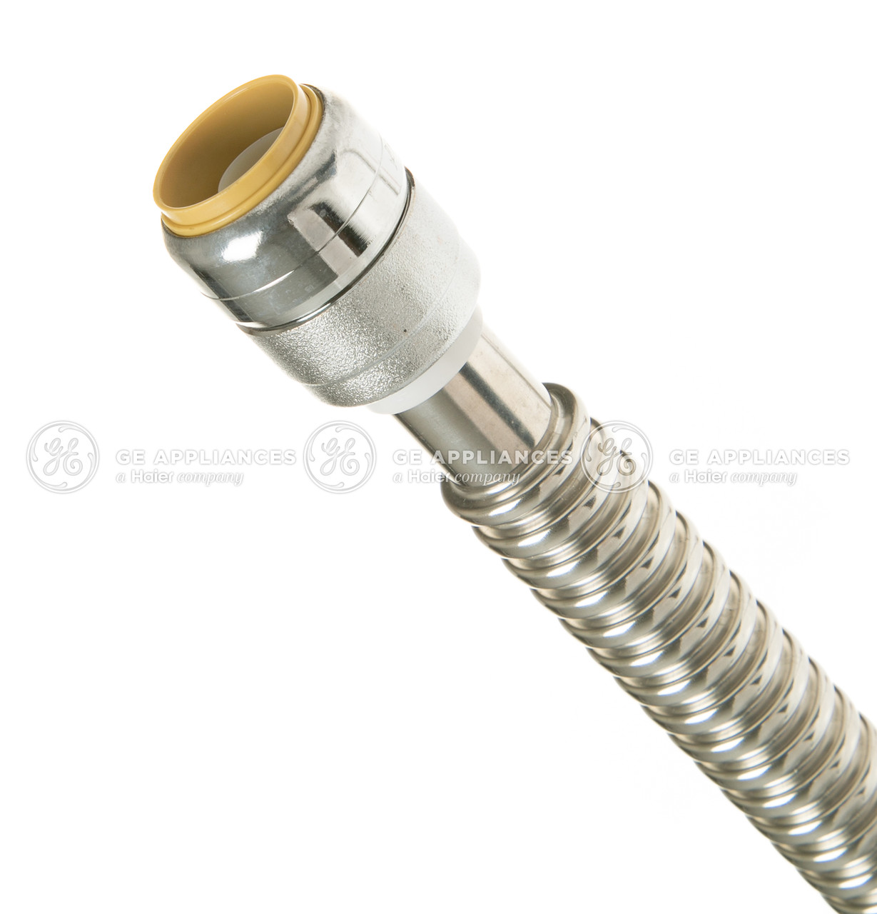 PM77X002-6021.jpg