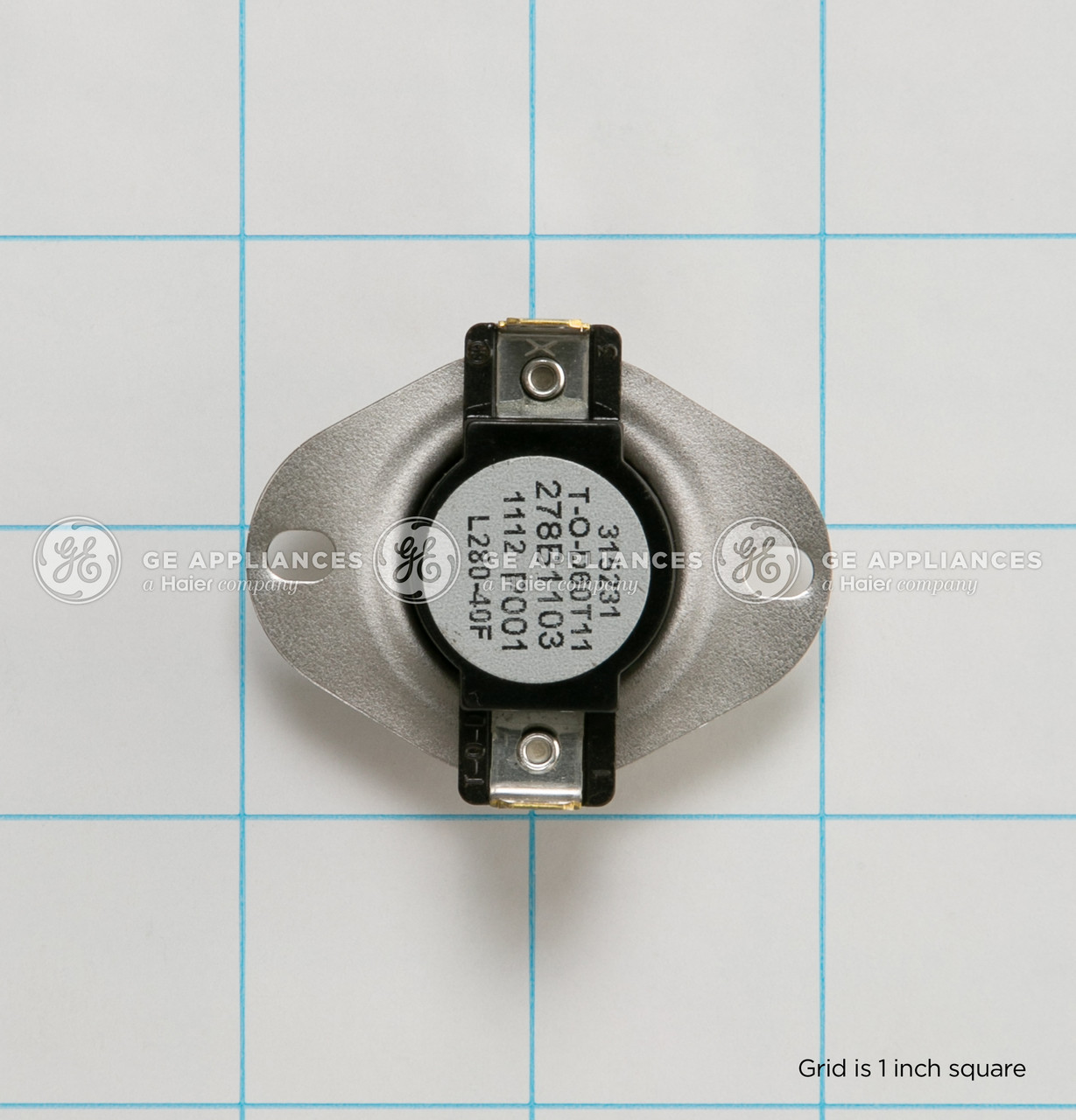 WE4M529-9790.jpg