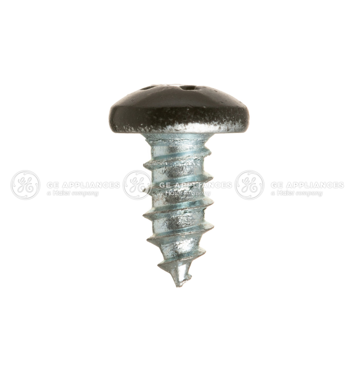 WR01X10053-7349.jpg