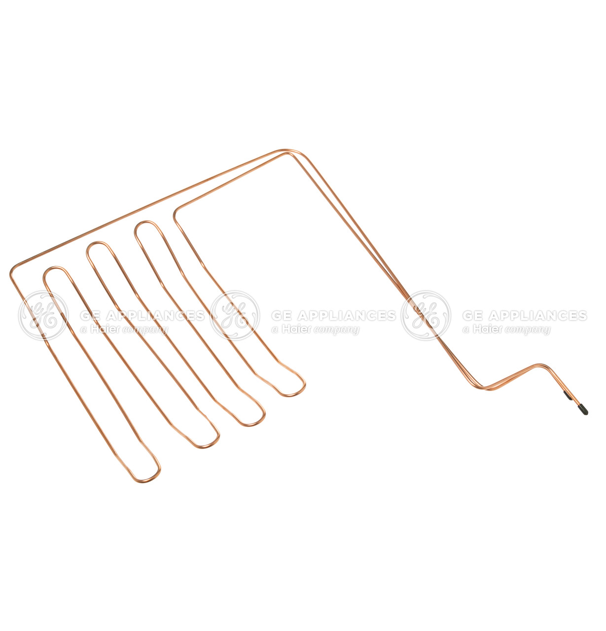 WR84X10093-1140.jpg