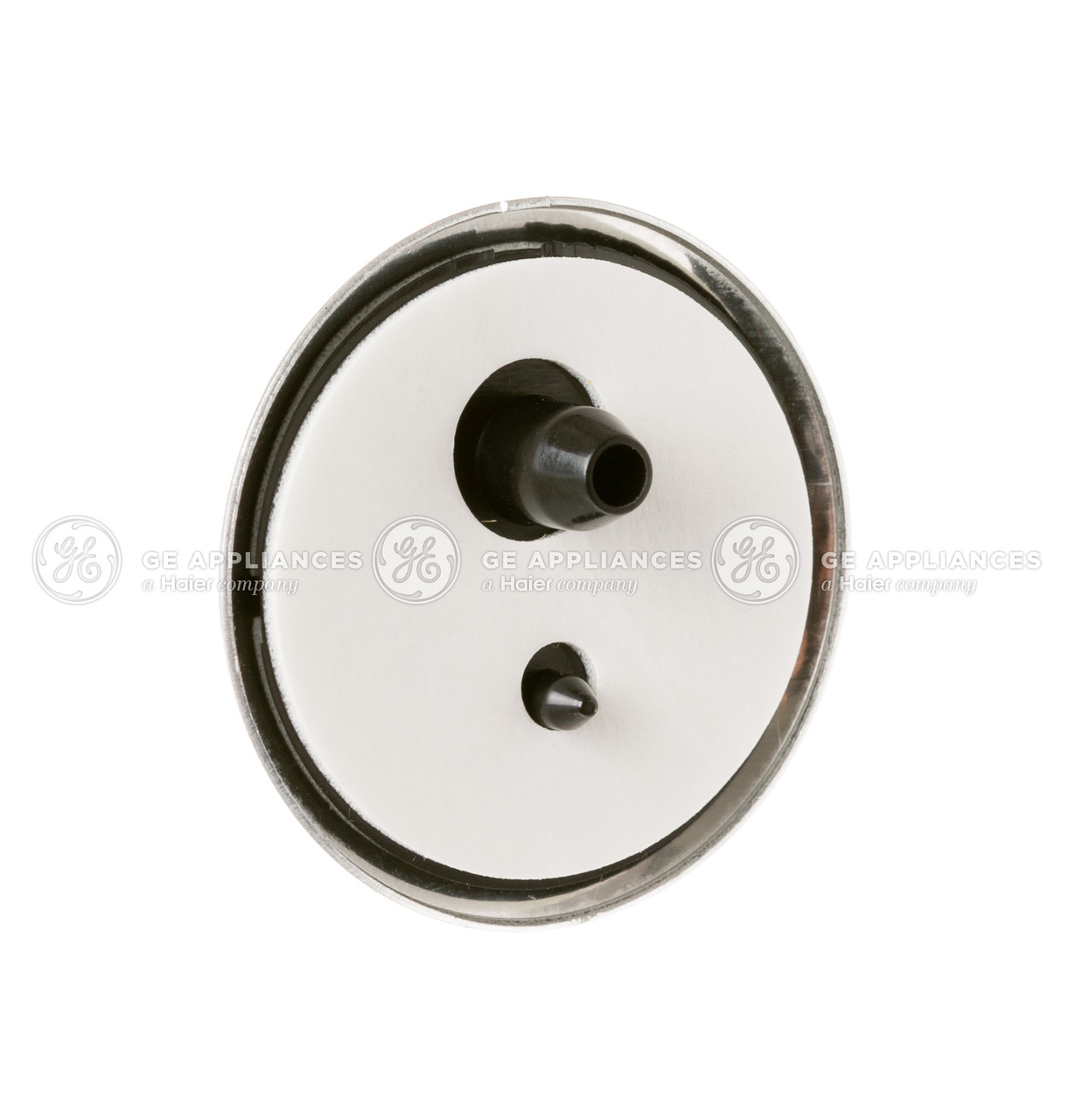 WR04X10169_7816.jpg