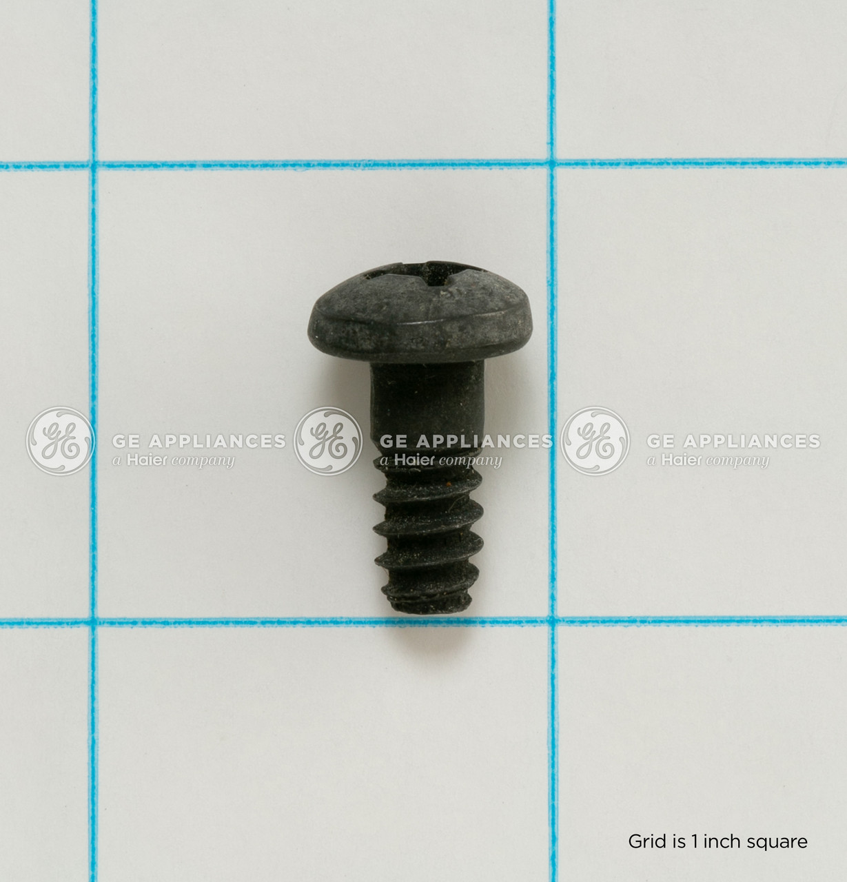 WE2M229-4751.jpg