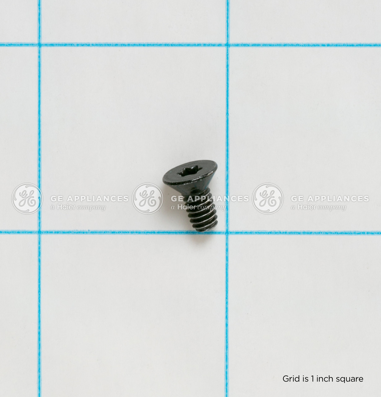 WB01X37070-8589.jpg