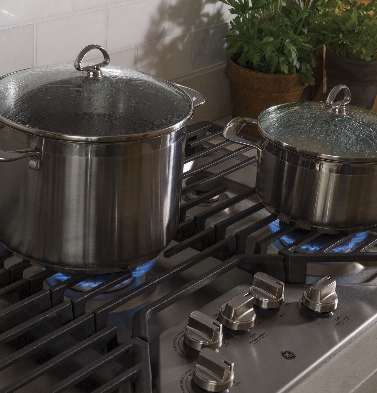 161962.jpg 161962.jpg