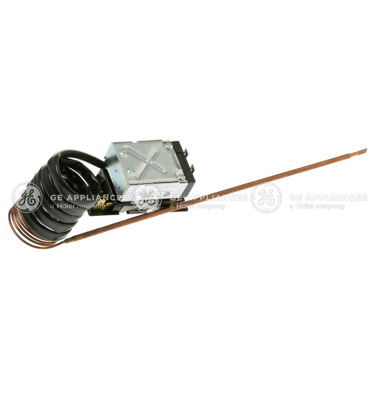 WB20T10004-9855.jpg