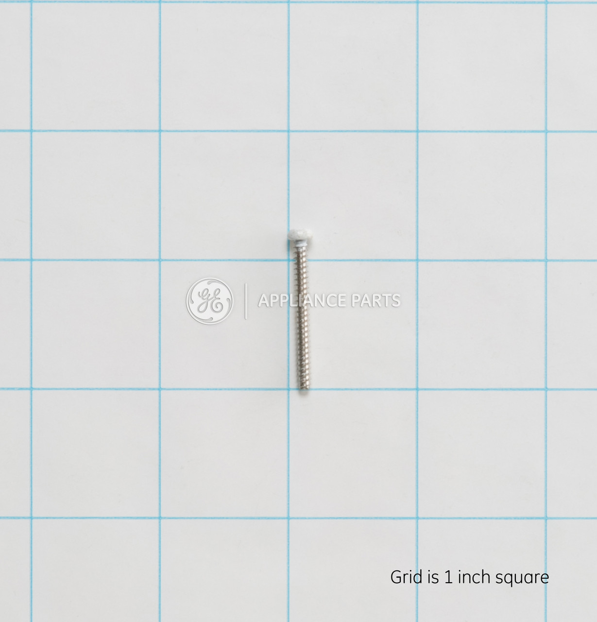 WB1X1464-6184.jpg