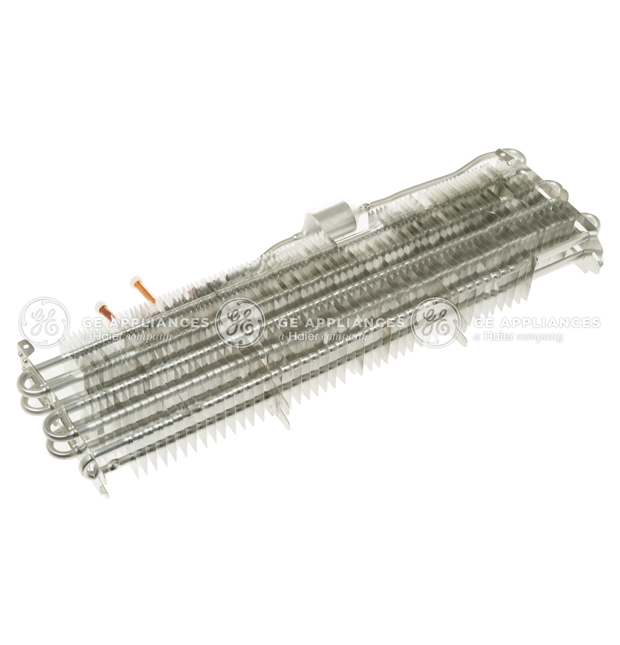 WR85X10096-4722.jpg