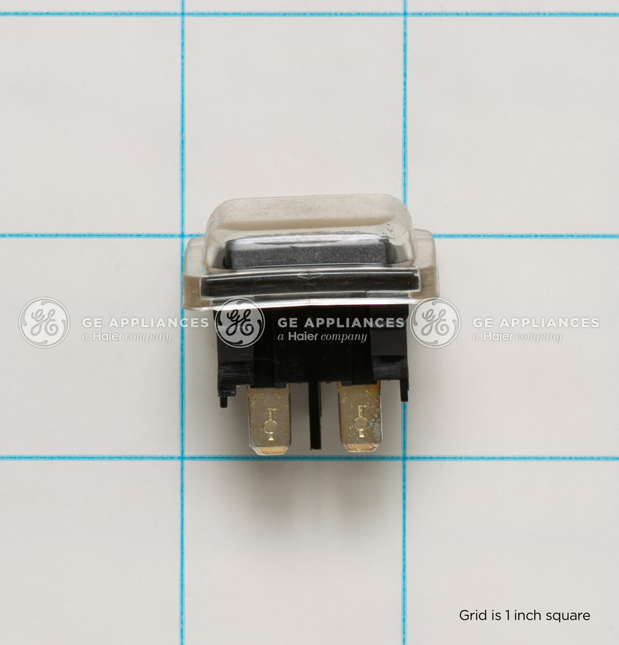 WB23X10017-6841.jpg