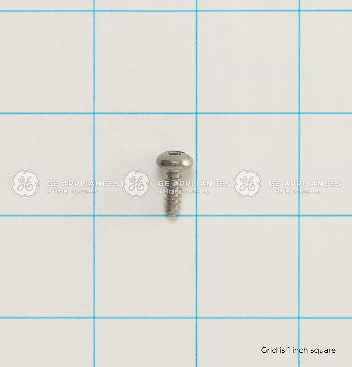 WE2M210-3588.jpg