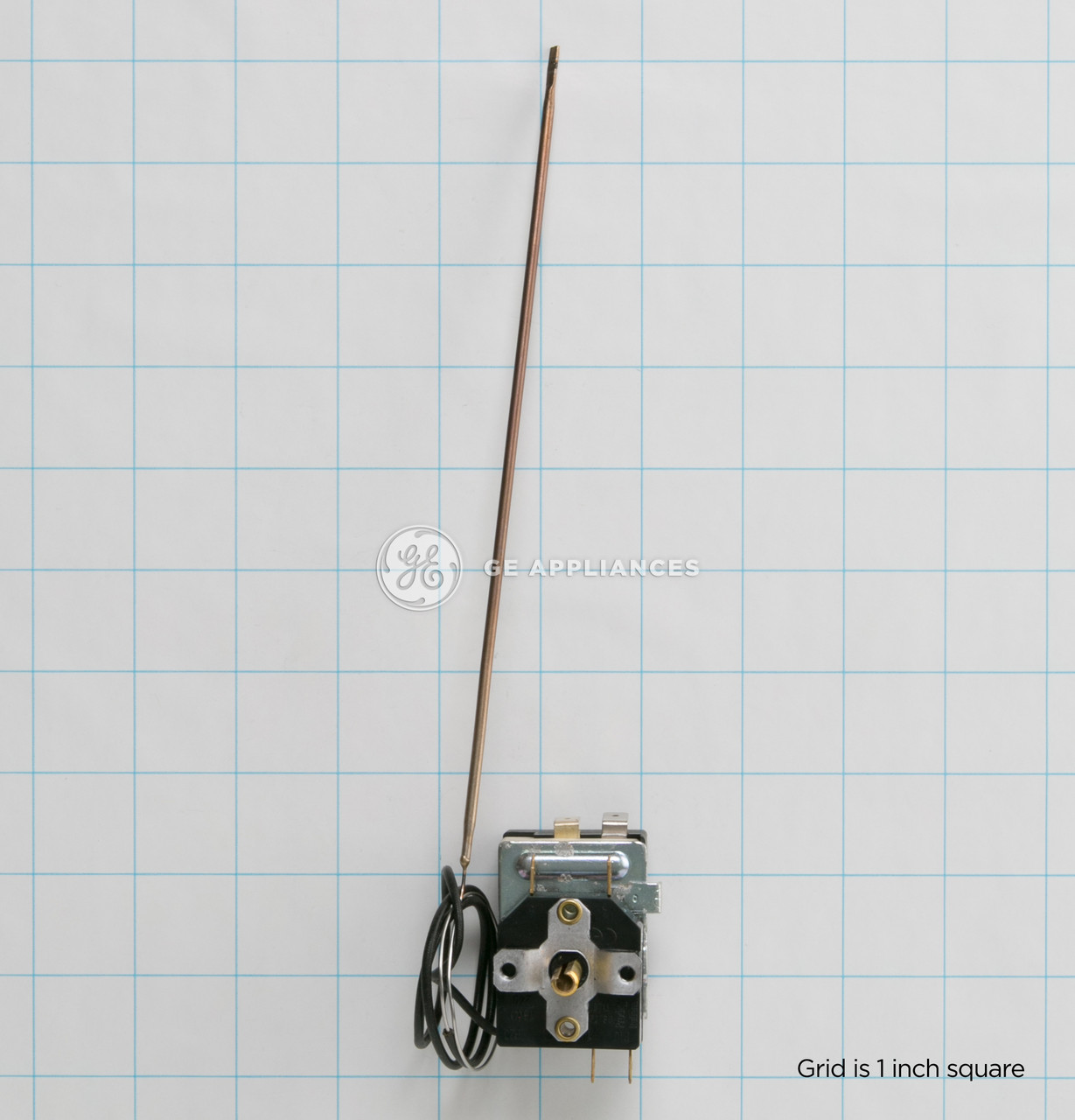 WB20T10009_5167.jpg