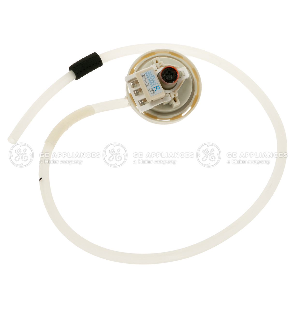 WH12X10502-5981.jpg