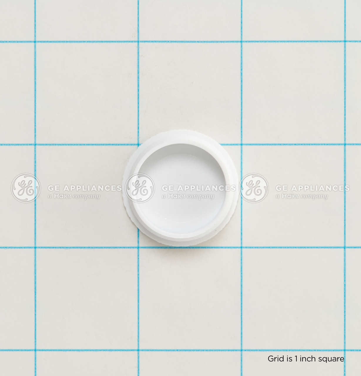 WR2X8087-3554.jpg WR2X8087-3554.jpg
