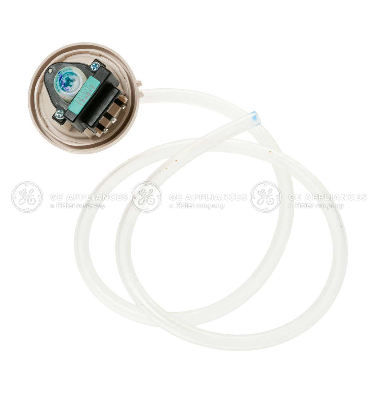 WH12X10427-1688.jpg