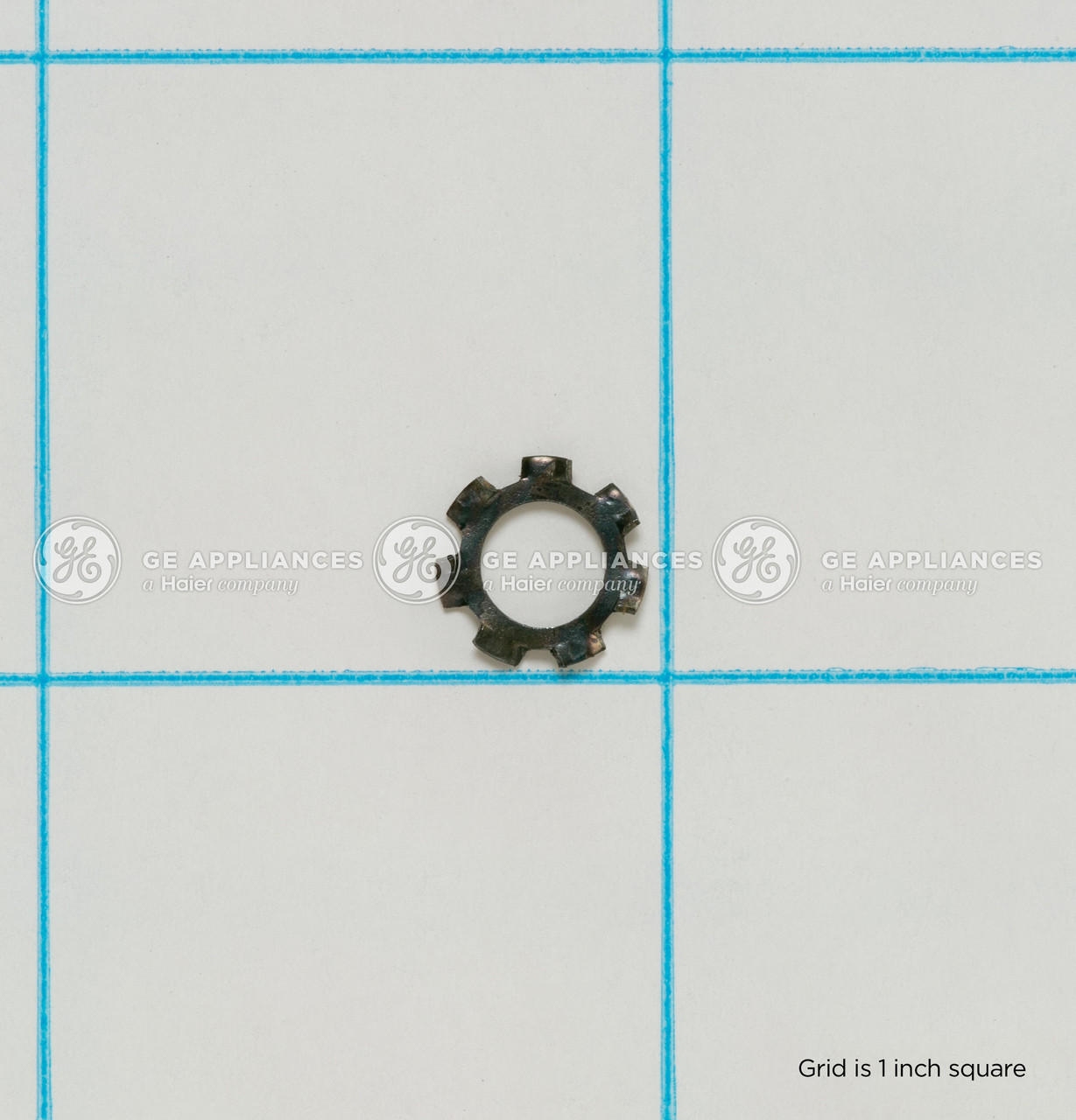 WB1K5046-6493.jpg