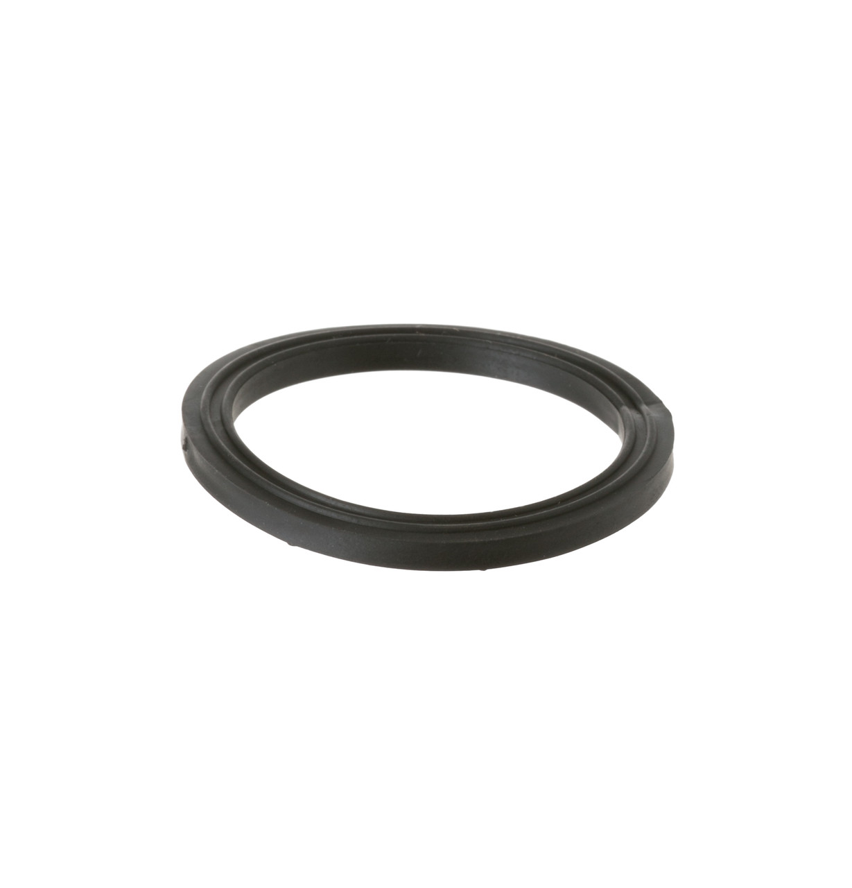 WD8X219-2132.jpg