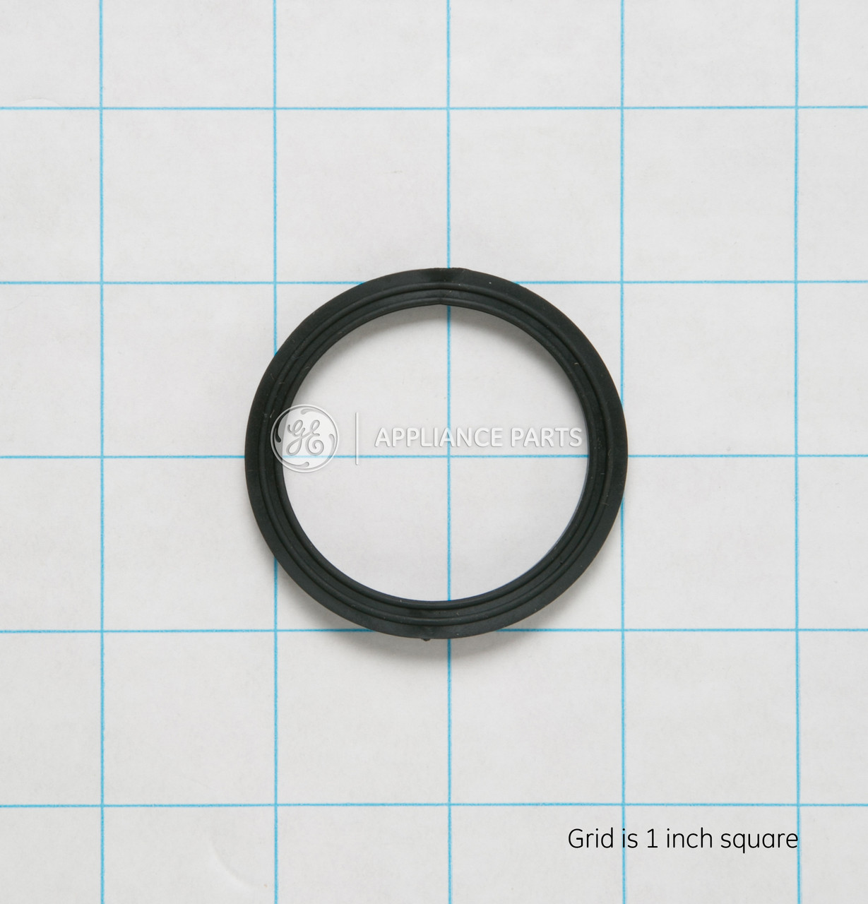 WD8X219-1805.jpg