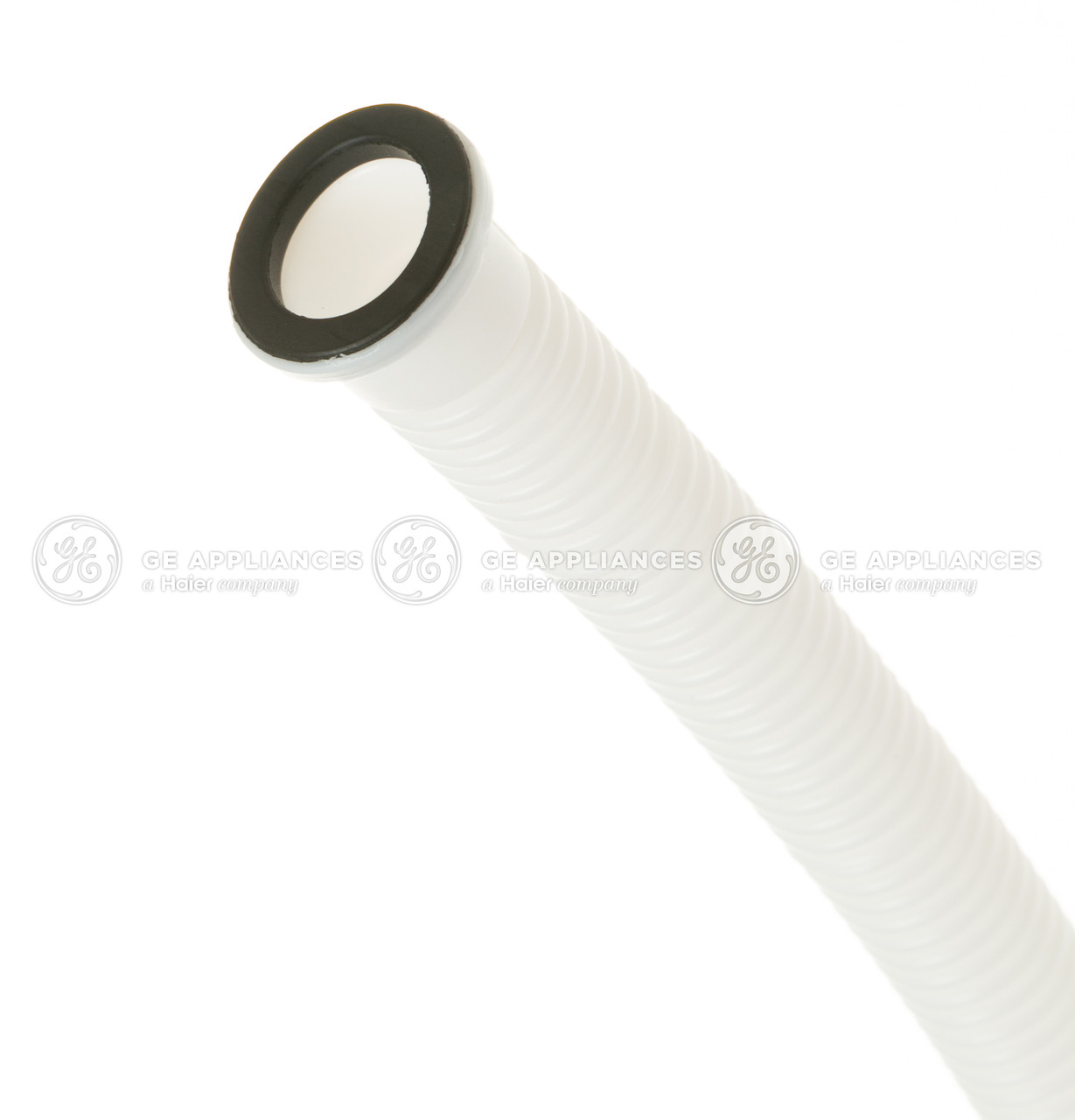 WJ71X24133-5737.jpg WJ71X24133-5737.jpg