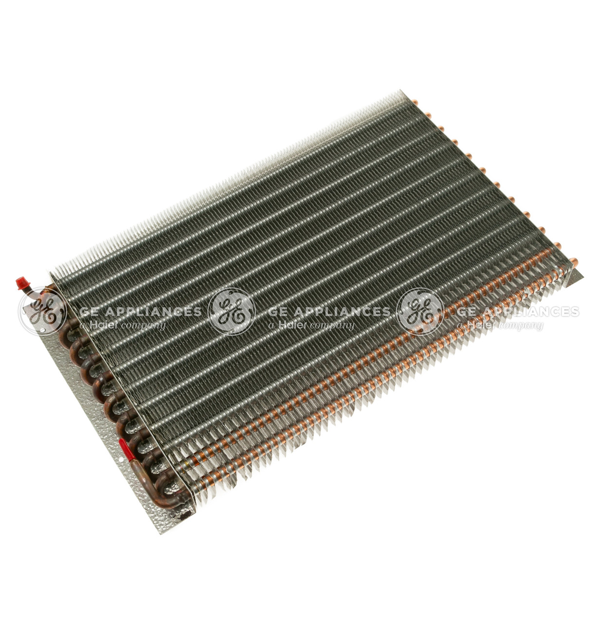 WR85X10118-2627.jpg