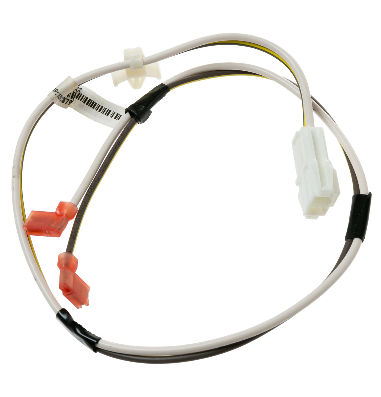 WE26M360-7782.jpg