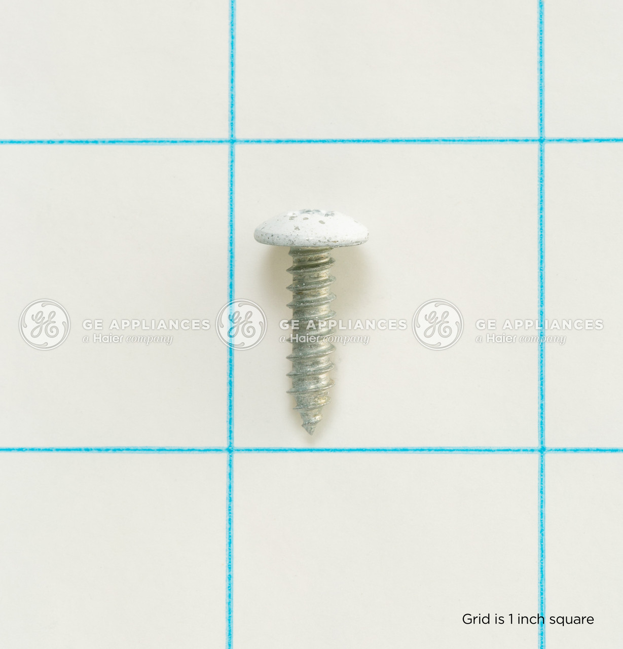 WR01X10788-4570.jpg