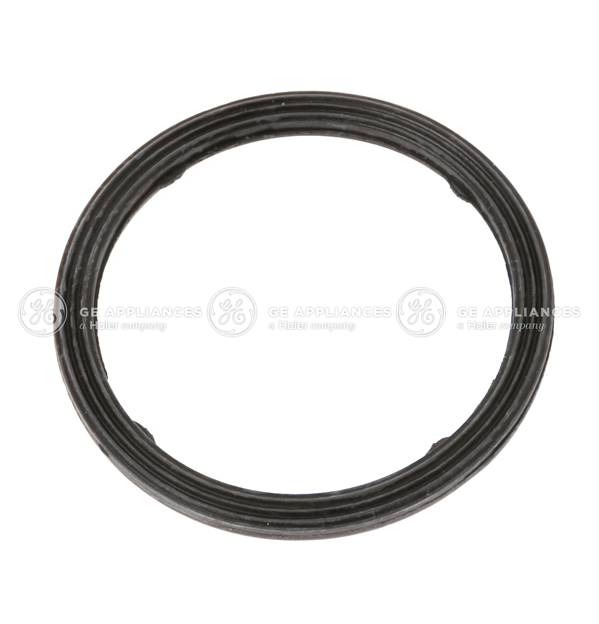 WD08X27559-0393.jpg