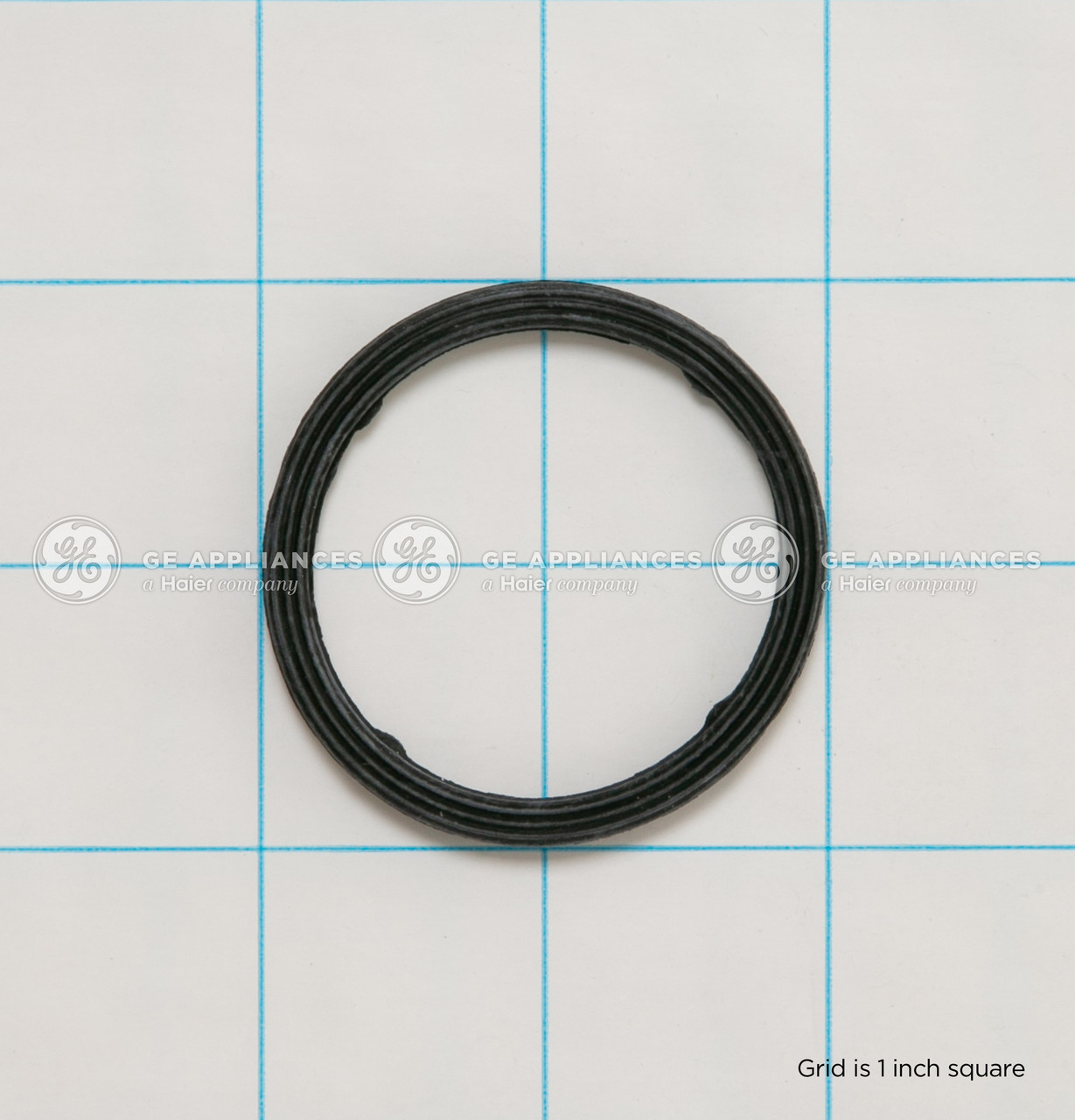 WD08X27559-0534.jpg