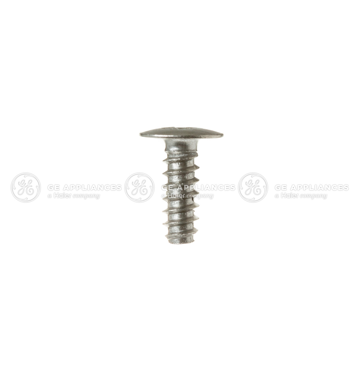WD02X10111-1915.jpg