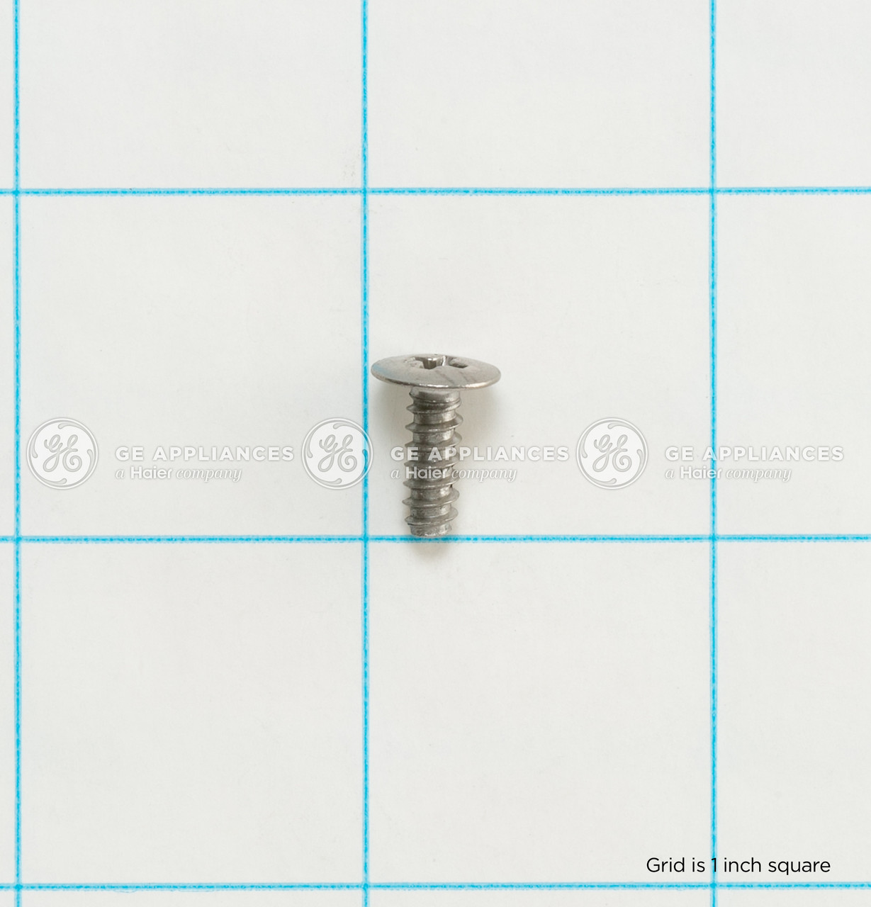 WD02X10111-2192.jpg