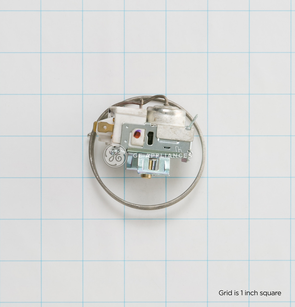 WR09X10014-3719.jpg WR09X10014-3719.jpg