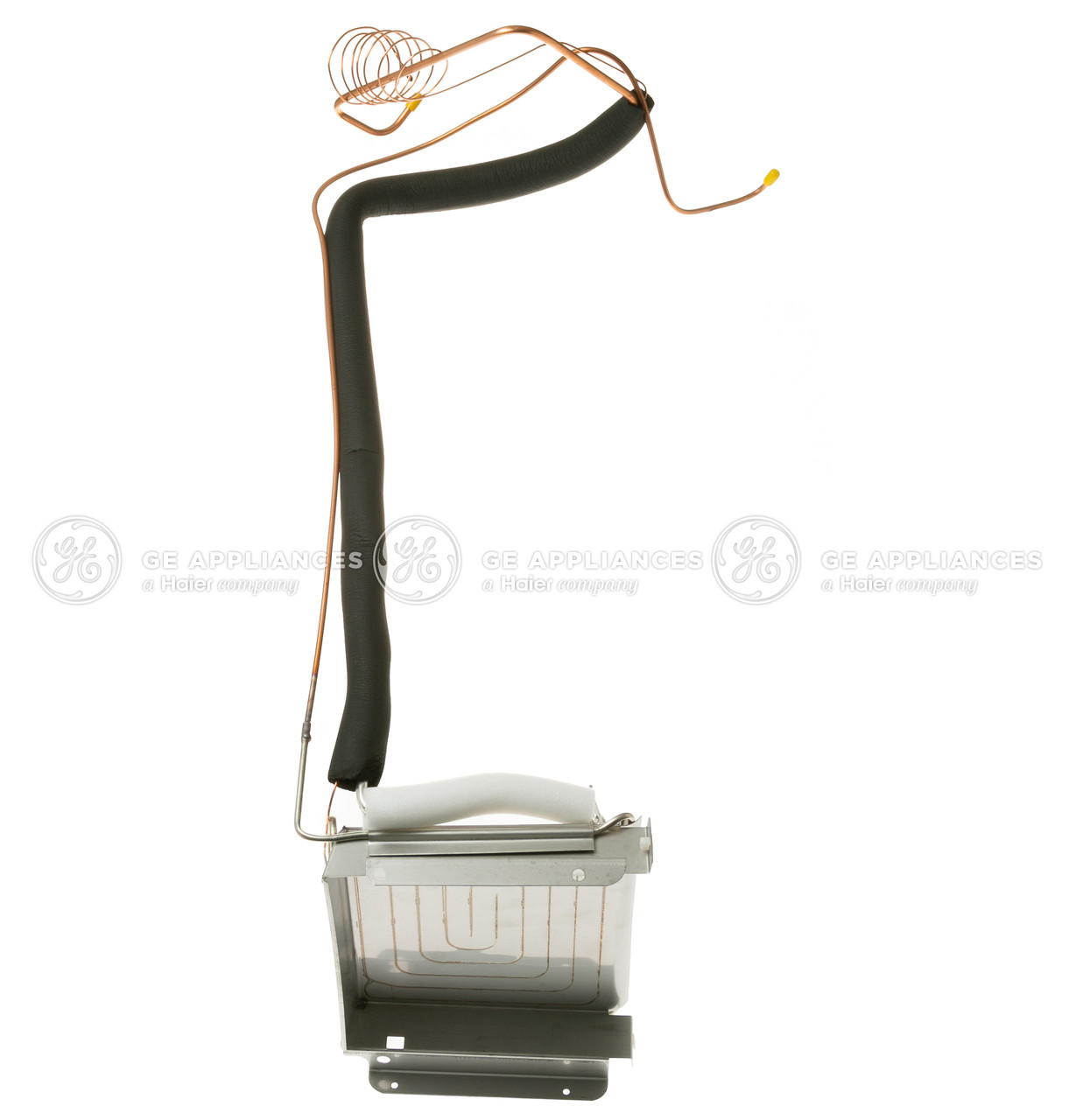 WR85X10045-1181.jpg