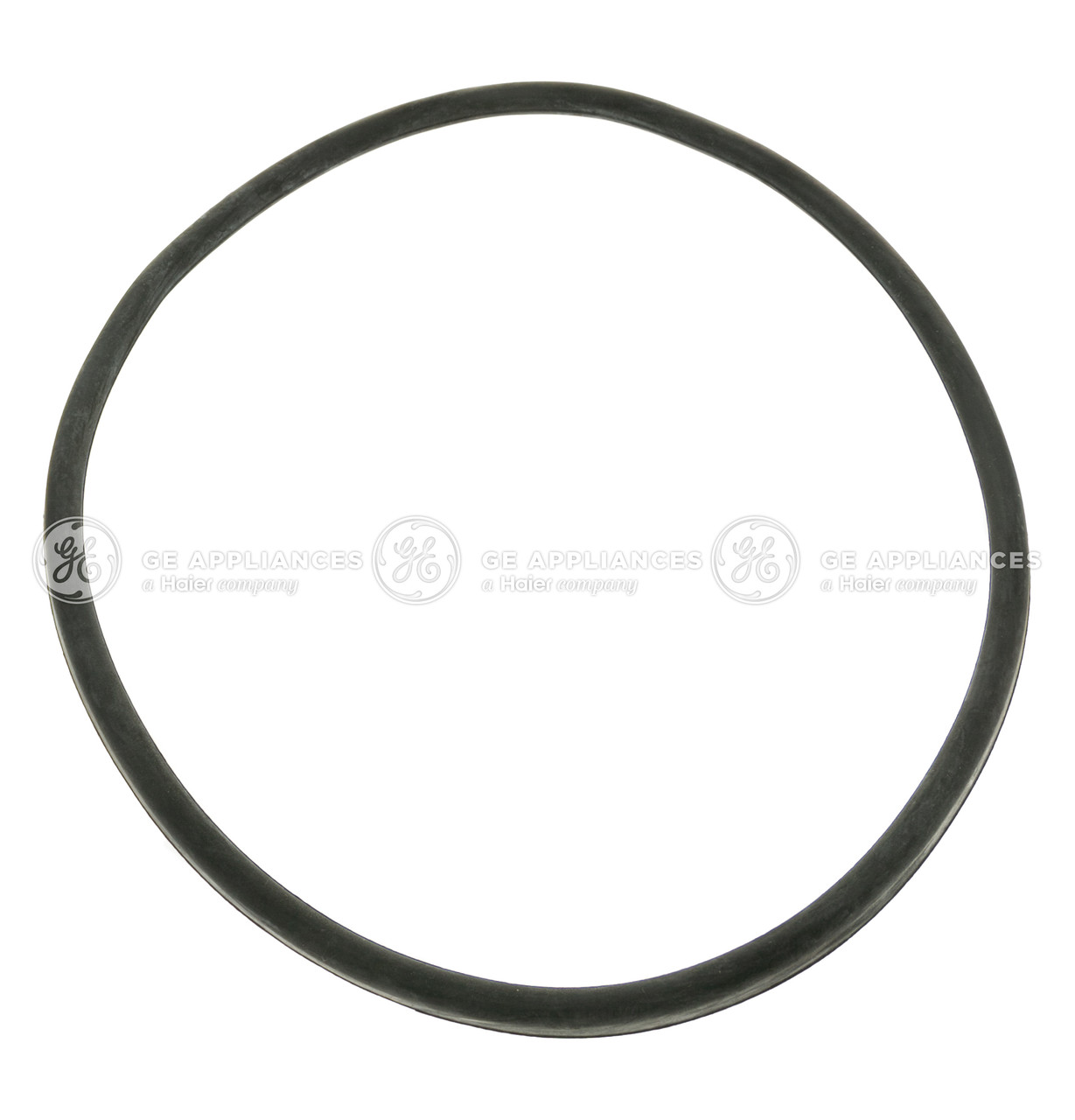 WD08X24693-6097.jpg