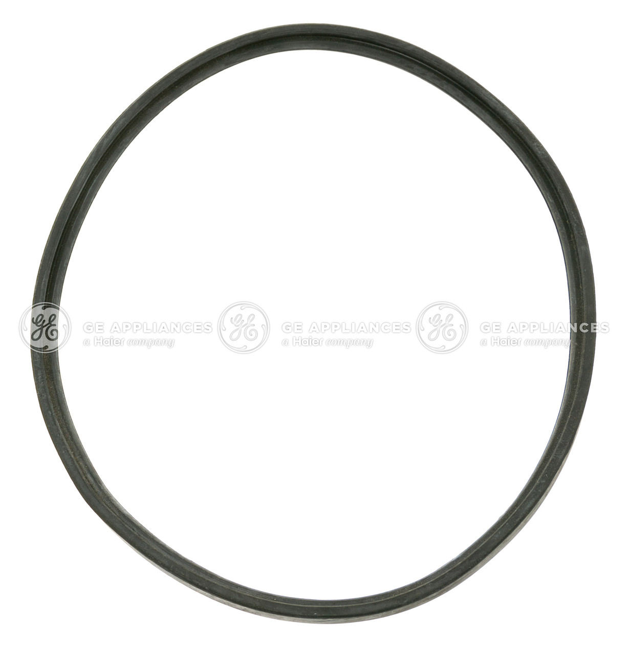 WD08X24693-6098.jpg