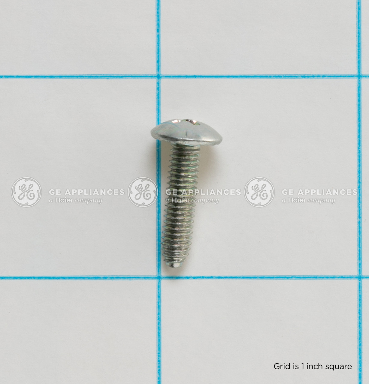 WH02X28370-2894.jpg