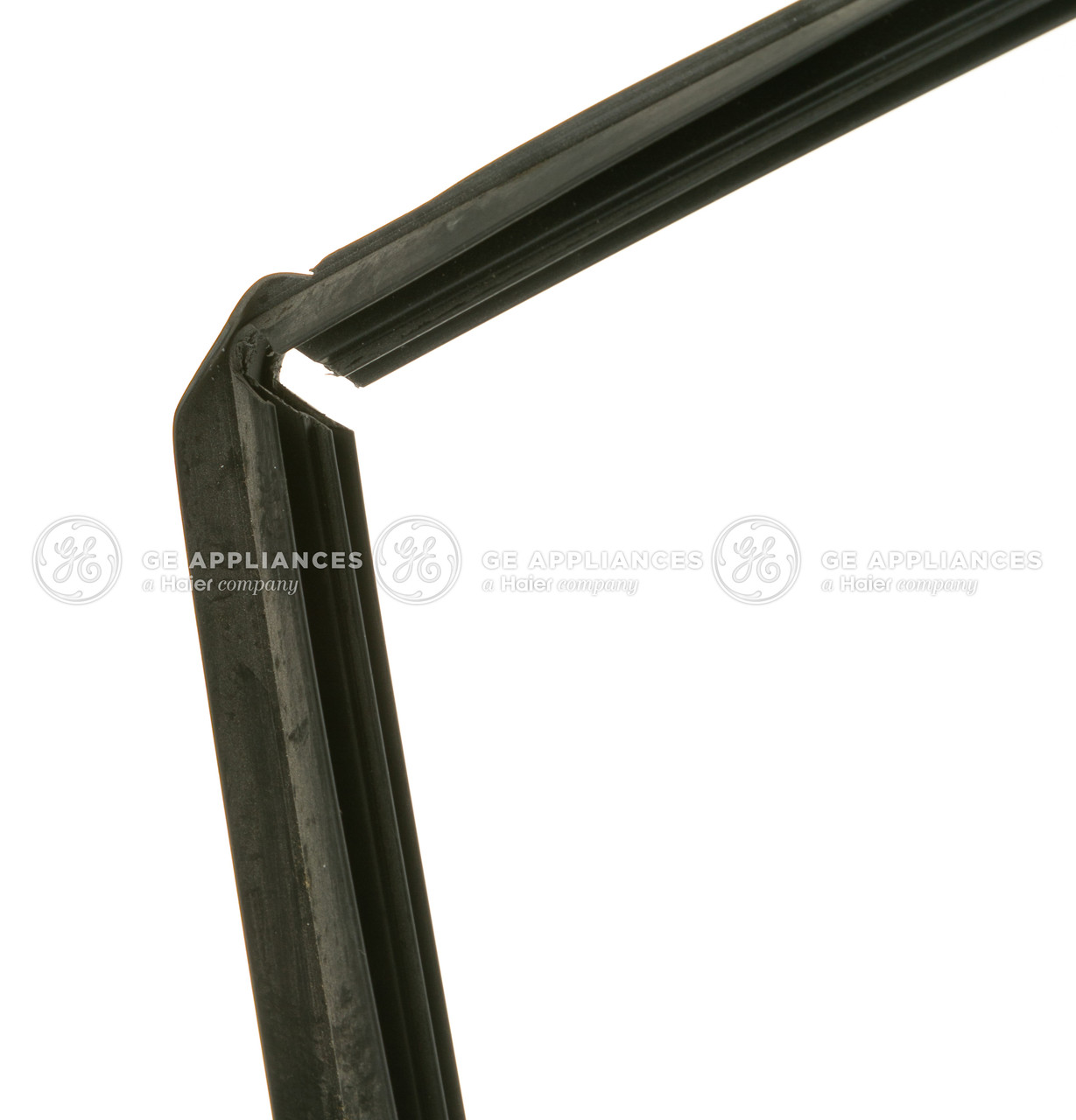 WD08X24348-4019.jpg
