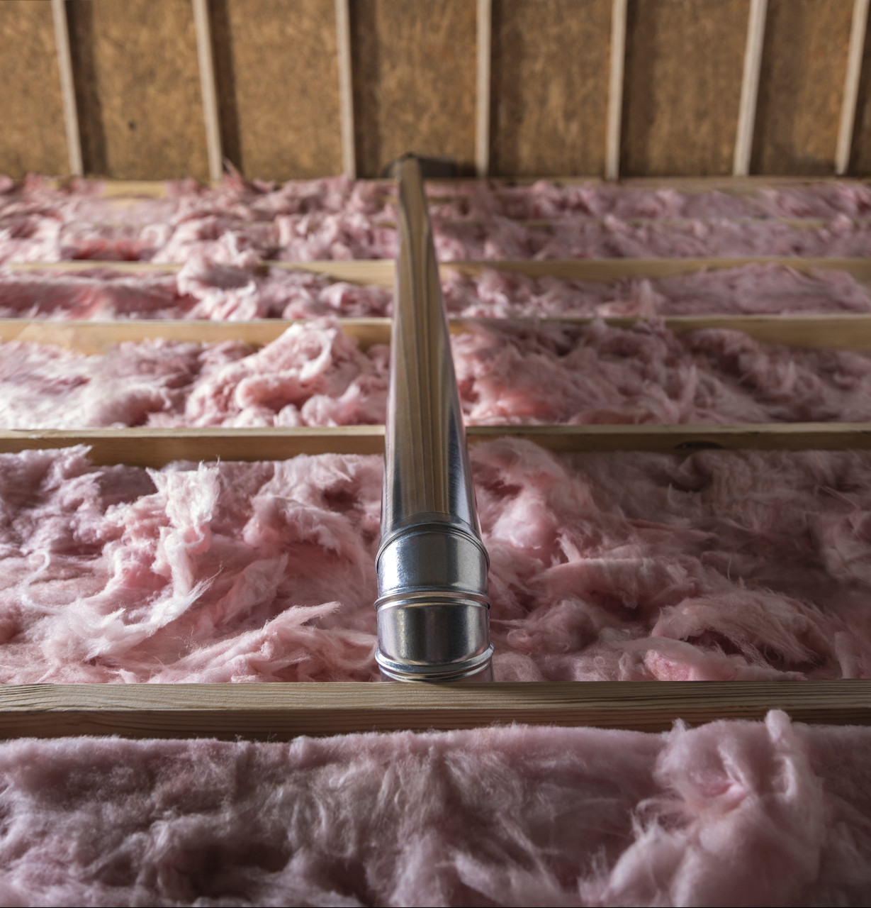 155115.jpg 155115.jpg