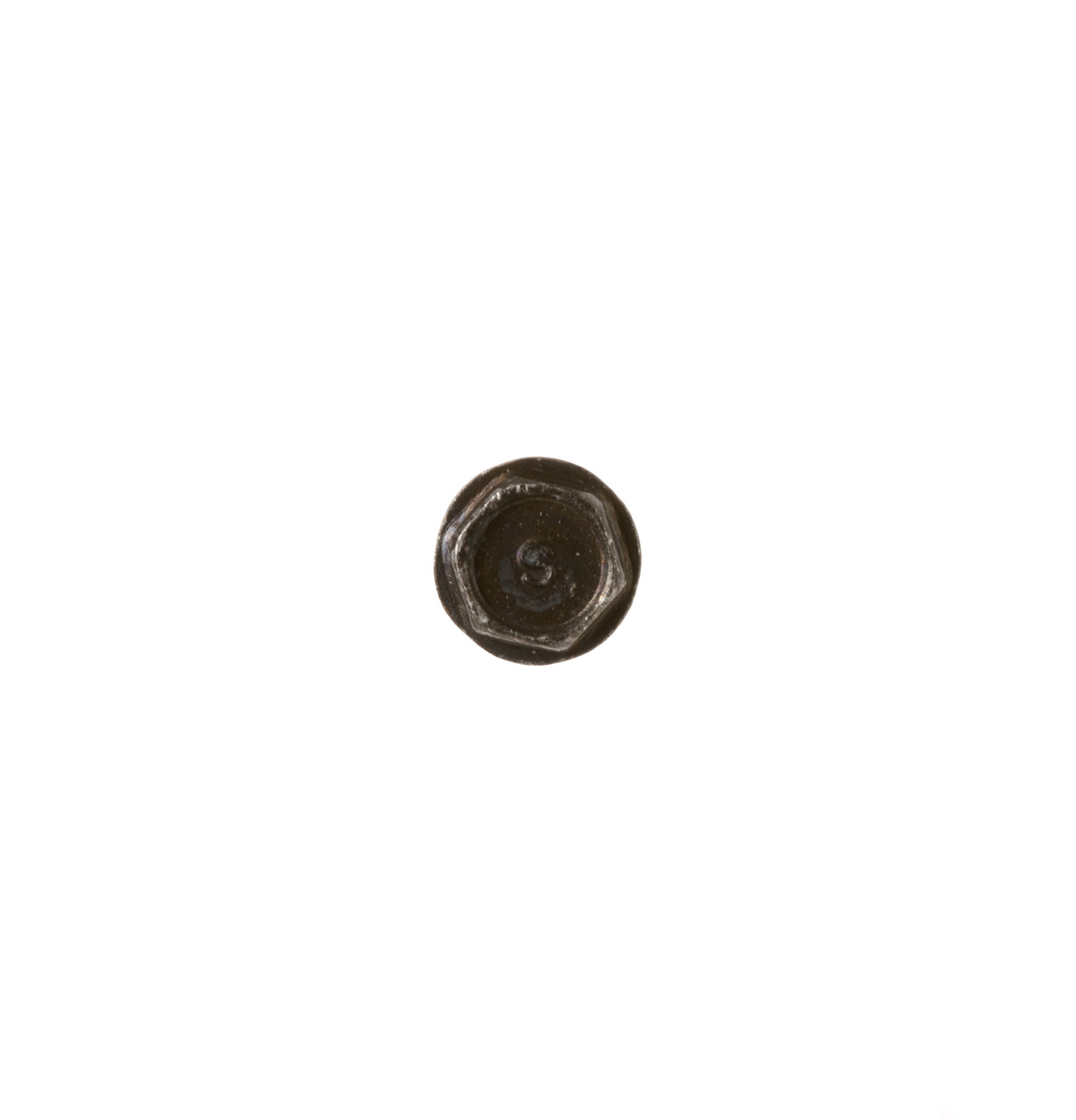 WS02X10085-8469.jpg