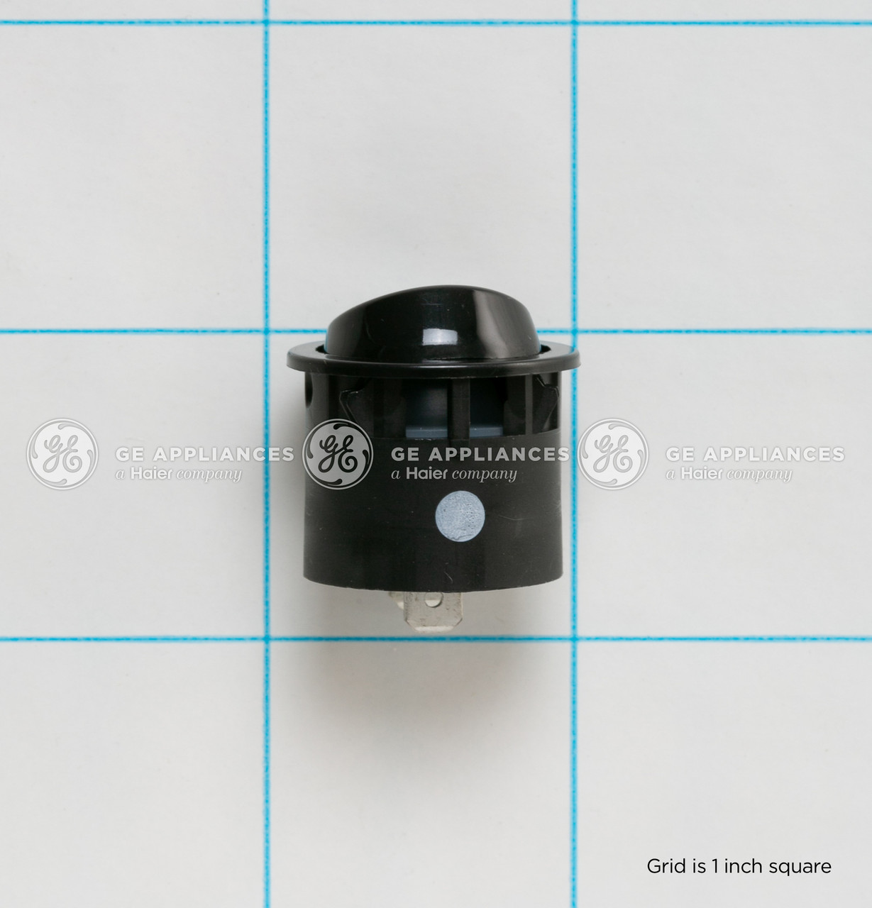 WB24X31927-0961.jpg