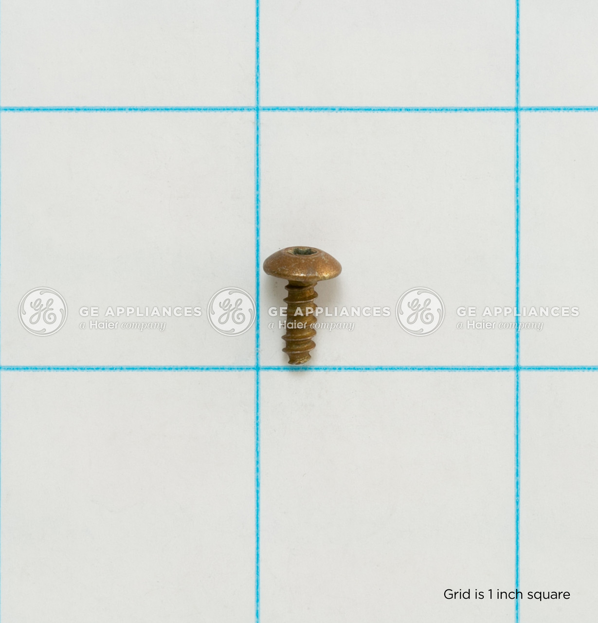WH01X10423-3344.jpg